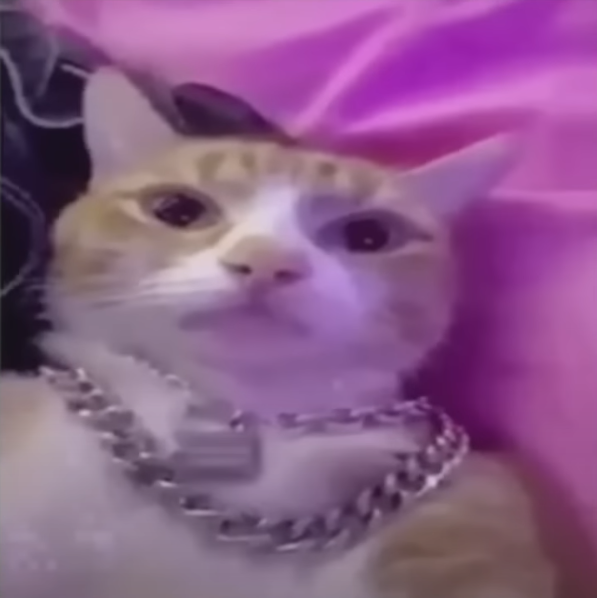 Сообщение пользователя alakme