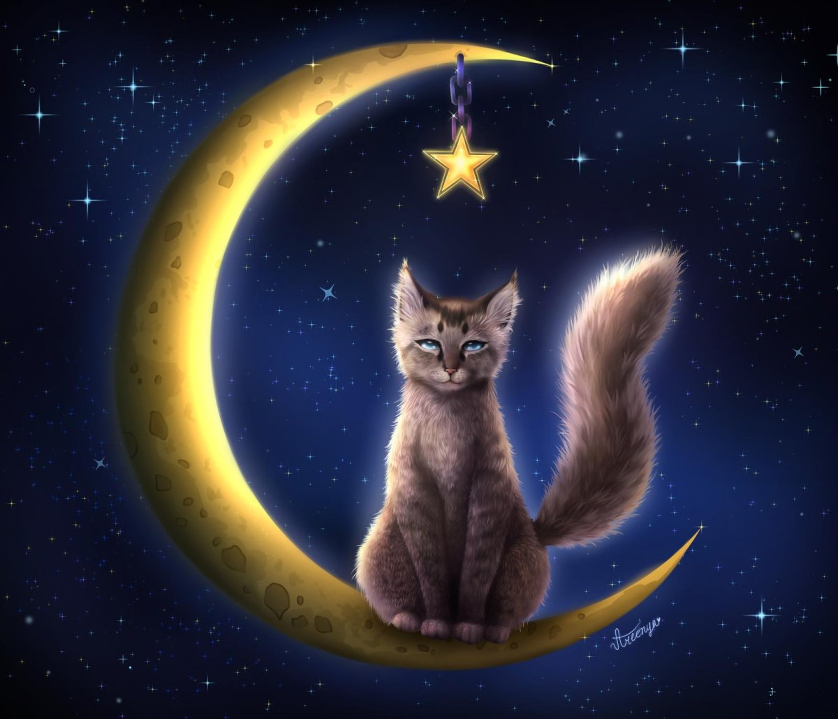 Сообщение пользователя kat2019sos